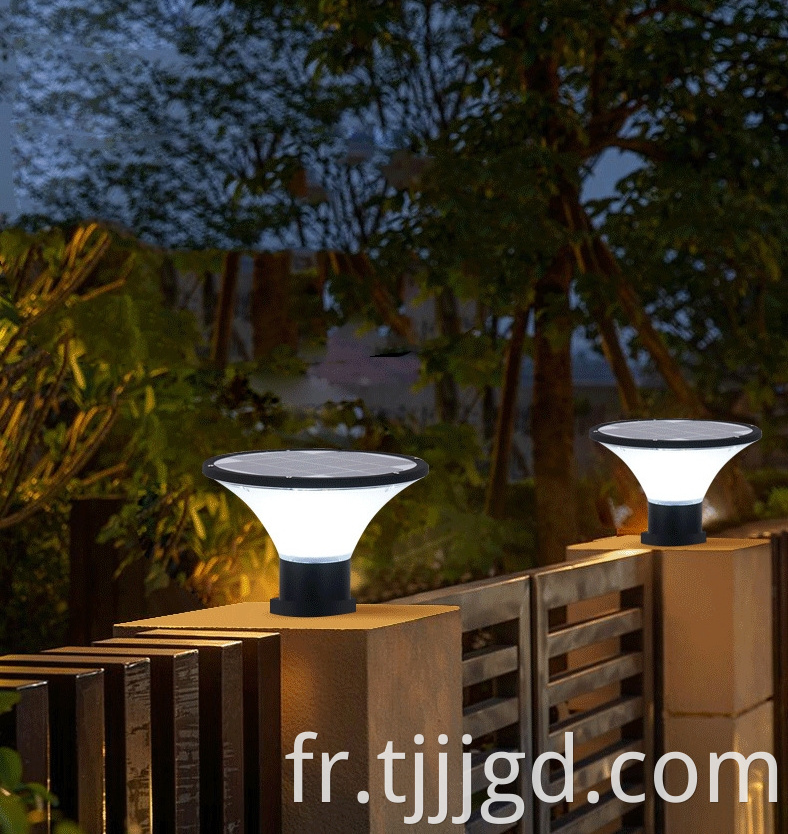 Solar Outdoor Pillar Lights